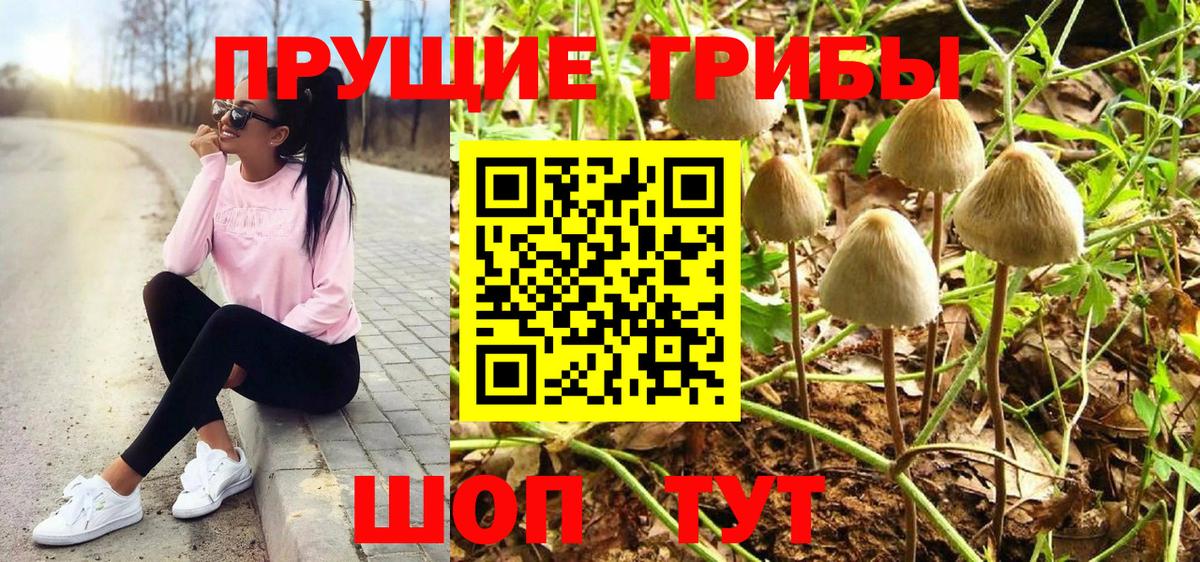 Псилоцибиновые грибы Psilocybine cubensis  Вход с VPN  Магадан  Псилоцибиновые грибы Psilocybe 